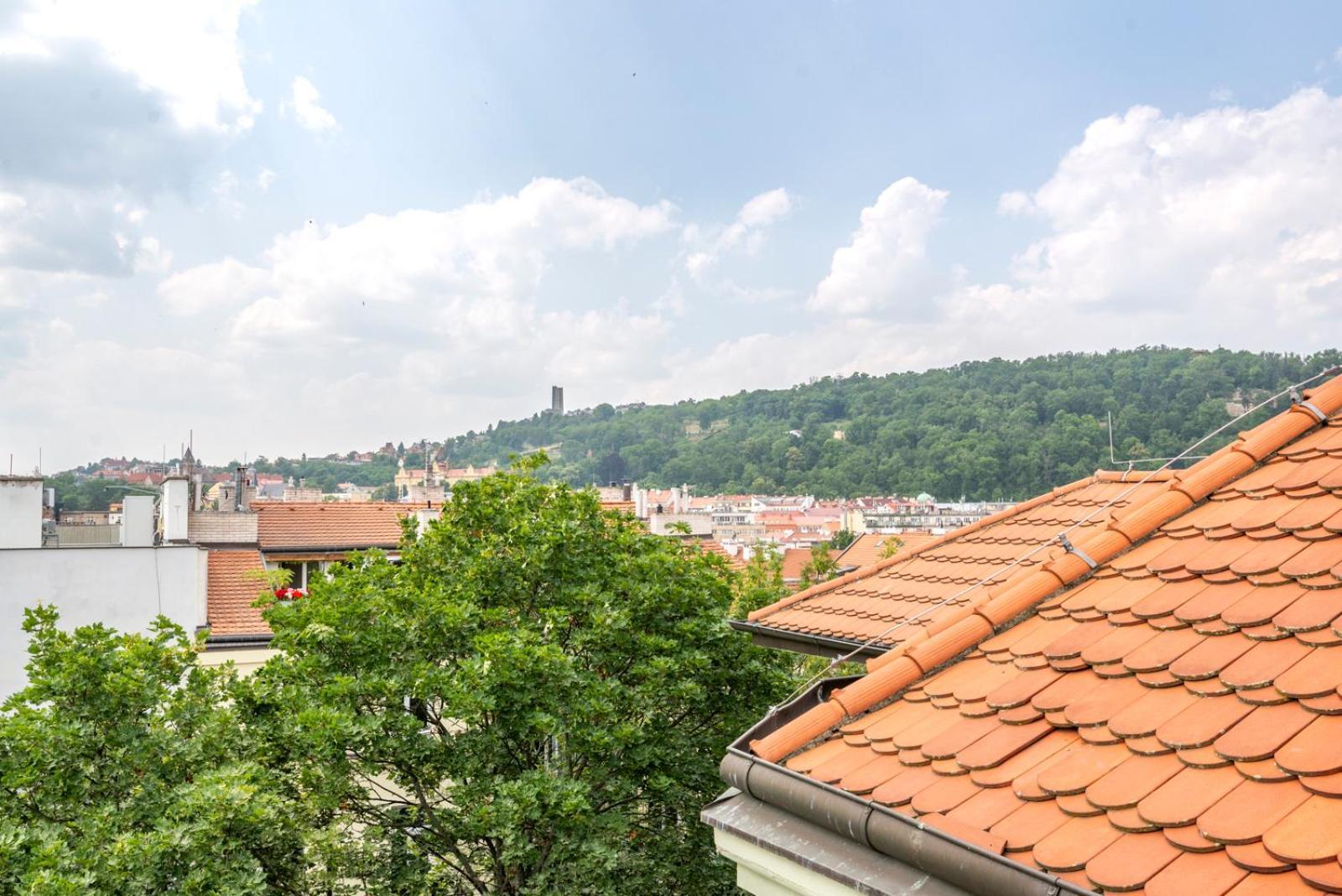 Janáčkovo nábřeží 19 - Riverside Apartments Praga Exterior foto